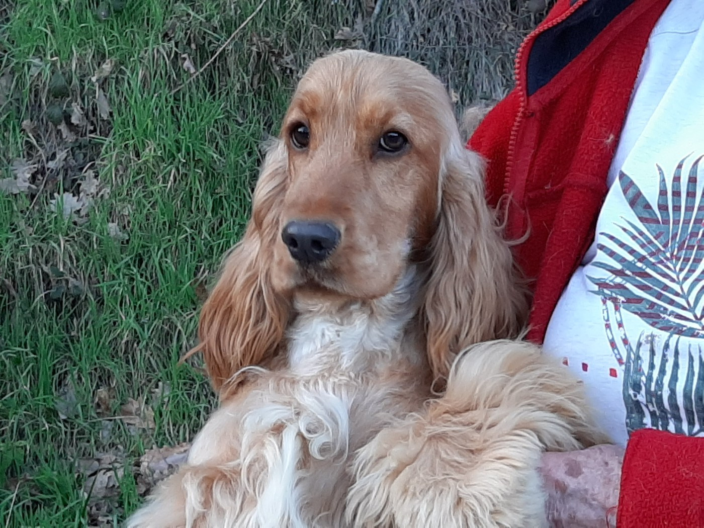 Romance du Rieu-Grand